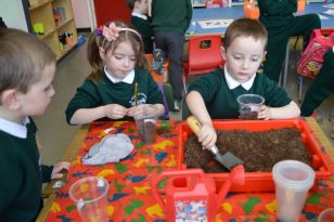 Busy Times in the Primary 1 and 2 Classroom!